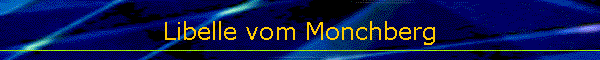 Libelle vom Monchberg