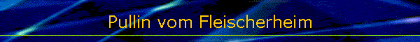 Pullin vom Fleischerheim